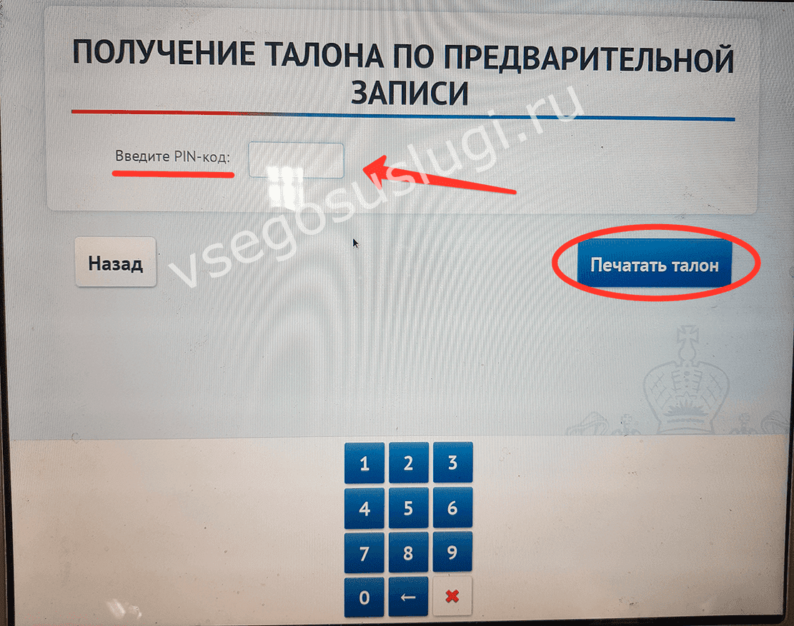 Взять талон через. Талон по предварительной записи. Талон на получение загранпаспорта. Как получить талон. Пин код госуслуги.