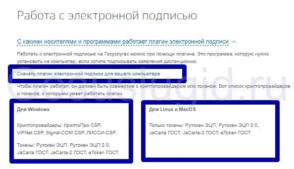 Плагин эцп госуслуги. ЭЦП плагин. Как подписать документ электронной подписью на госуслугах с телефона. Как подписать ЭЦП через госуслуги. Документ подписанный электронной подписью фото.