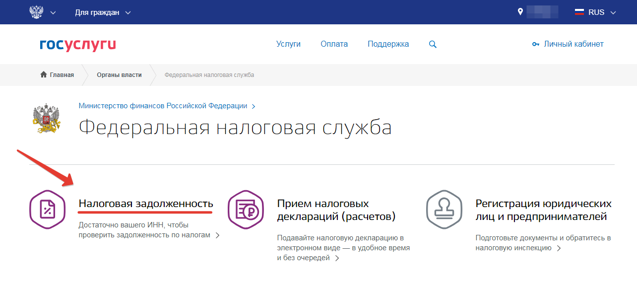 Налог ру войти через госуслуги. Налоговая служба госуслуги. Госуслуги Главная. Услуги ФНС на портале госуслуг. Федеральная гос услуга.